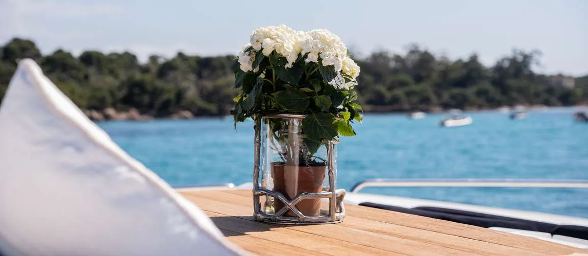 Palumba — photo 16 location yacht Monaco